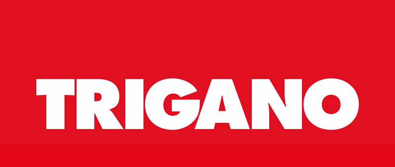 logo du groupe Trigano, leader du véhicule de loisirs